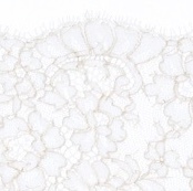 Blog thumbnail