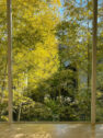 Blog thumbnail